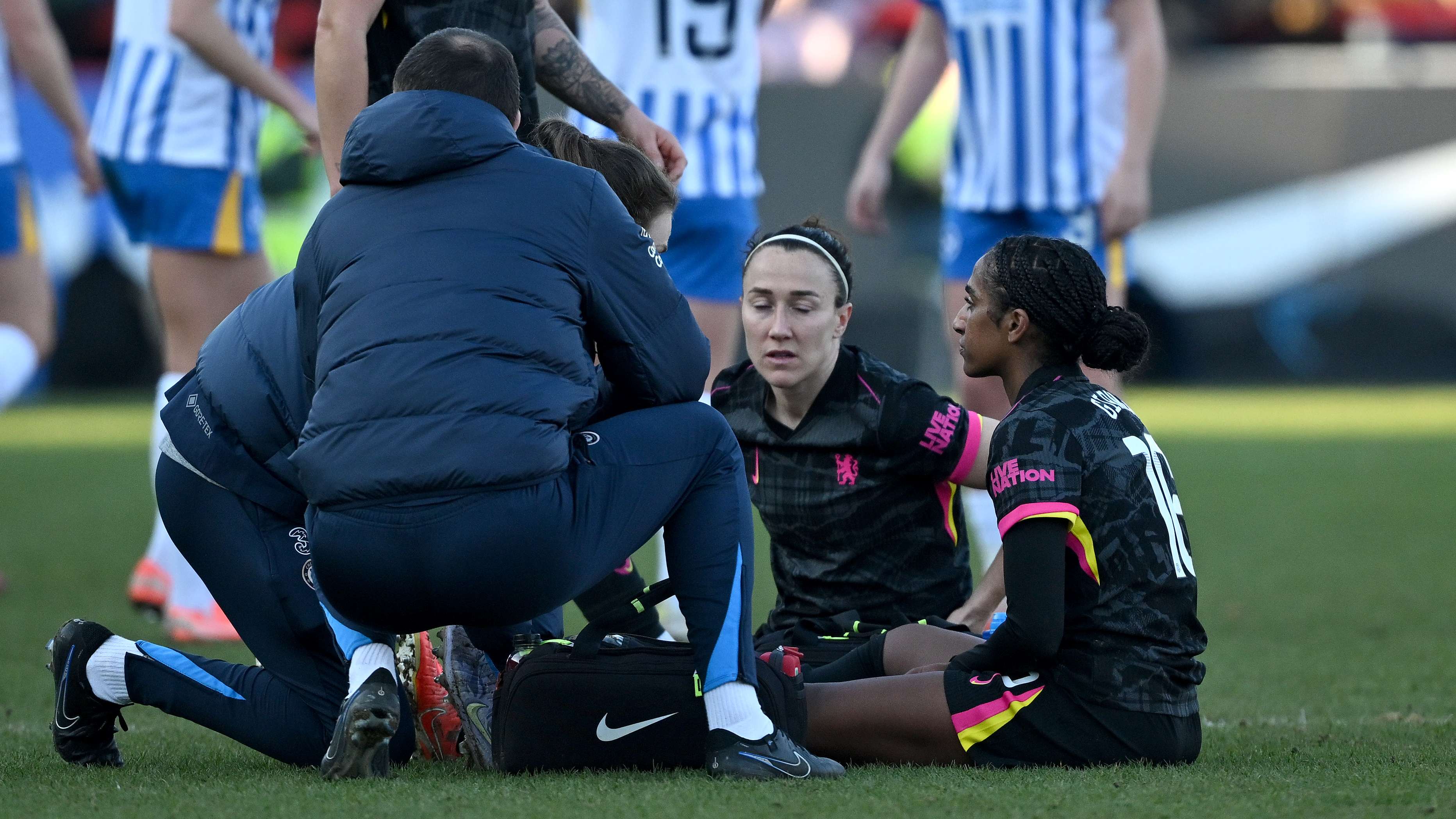 奠定了理论 奠定了理论