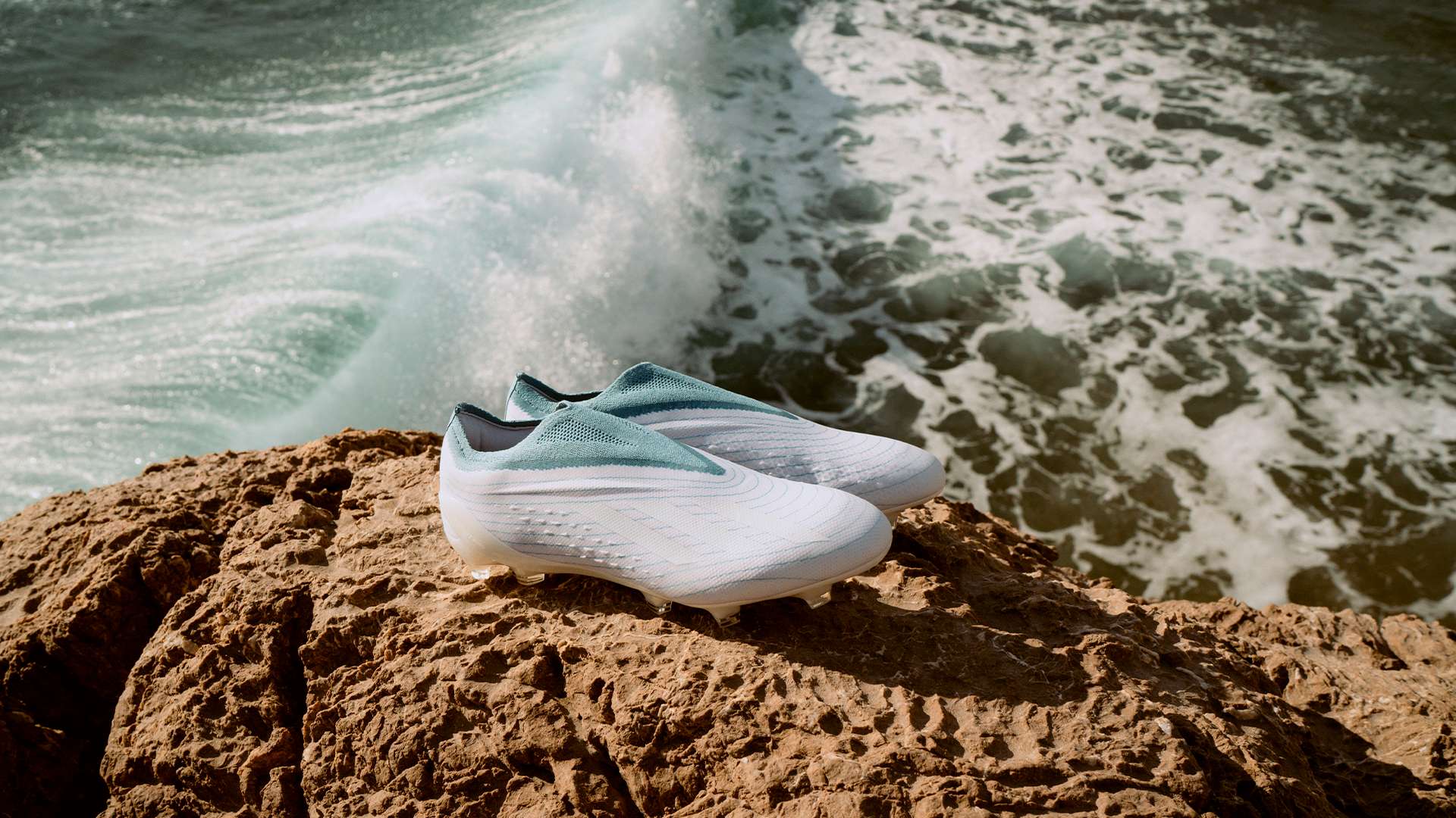 的品牌价值 的品牌价值